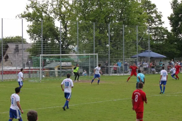 Heimspiel gegen Hajduk Ks.