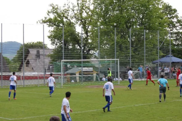 Heimspiel gegen Hajduk Ks.