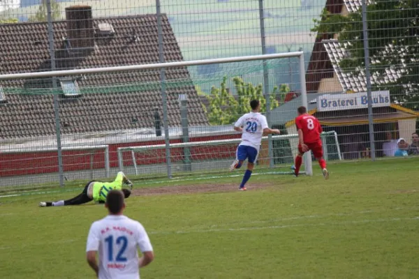 Heimspiel gegen Hajduk Ks.