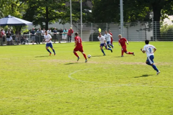 Heimspiel gegen Hajduk Ks.