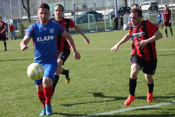 TSV Hertingshausen : BC Sport Kassel