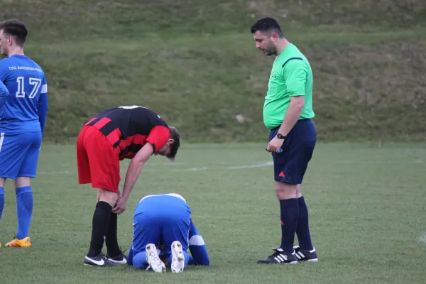 TSV Hertingshausen : TSG Sandershausen