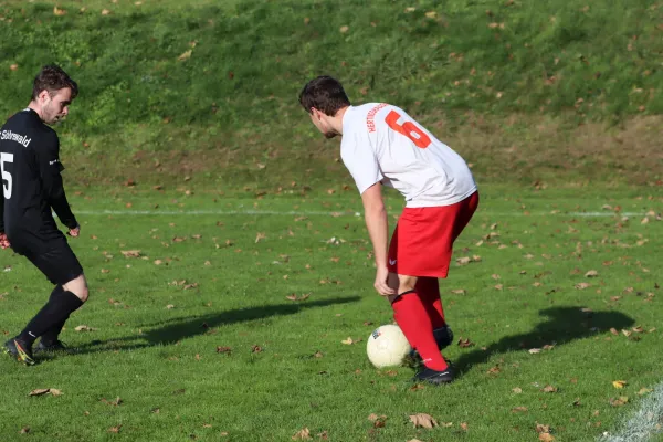 06.11.2022 TSV Hertingshausen II vs. SG Söhrewald II