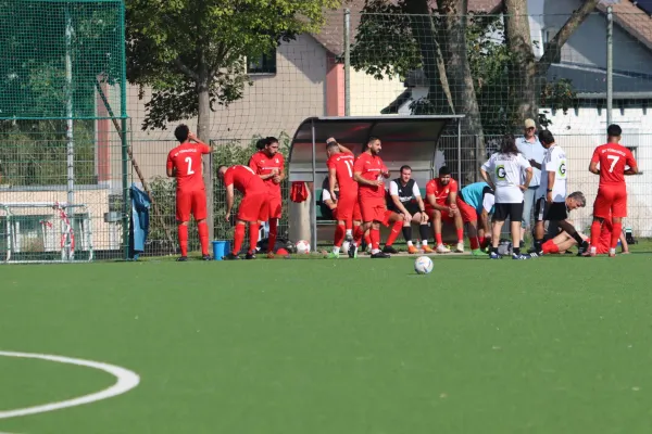 10.09.2023 SV Türkgücü Kassel vs. TSV Hertingshausen