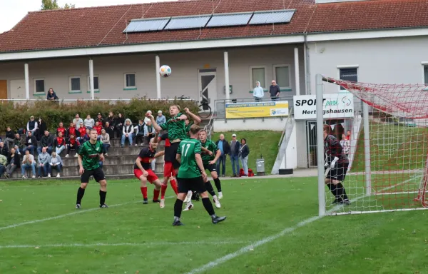 07.10.2023 TSV Hertingshausen vs. SG Reinhardshagen