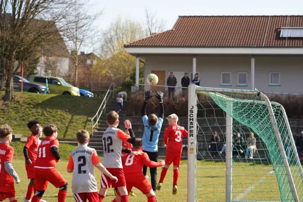 22.03.2025 TSV Hertingshausen vs. JFV Söhre III