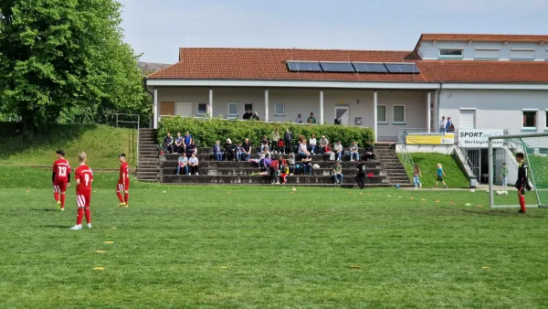 03.05.2025 TSV Hertingshausen vs. TSG Wilhelmshöhe III