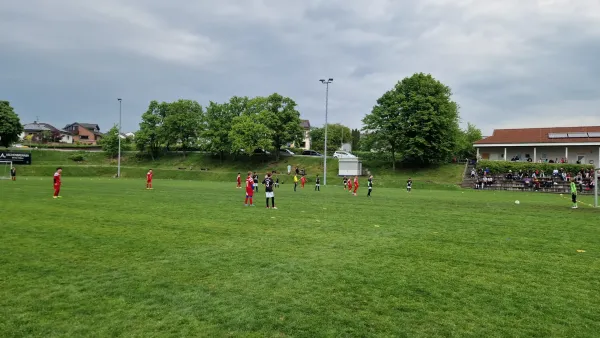 03.05.2025 TSV Hertingshausen vs. TSG Wilhelmshöhe III