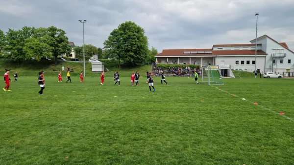 03.05.2025 TSV Hertingshausen vs. TSG Wilhelmshöhe III