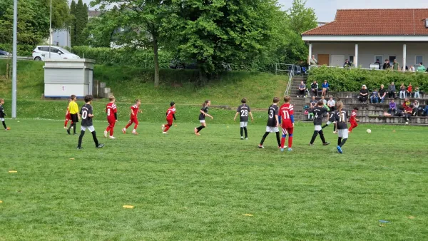 03.05.2025 TSV Hertingshausen vs. TSG Wilhelmshöhe III