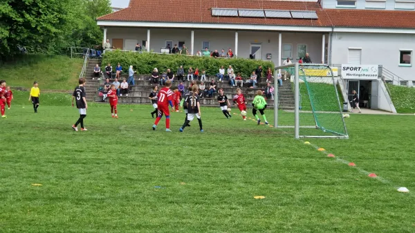 03.05.2025 TSV Hertingshausen vs. TSG Wilhelmshöhe III