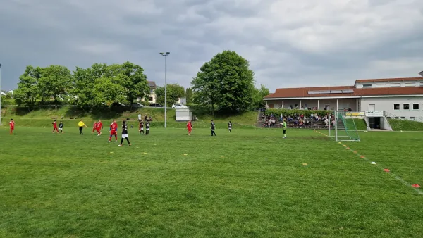 03.05.2025 TSV Hertingshausen vs. TSG Wilhelmshöhe III