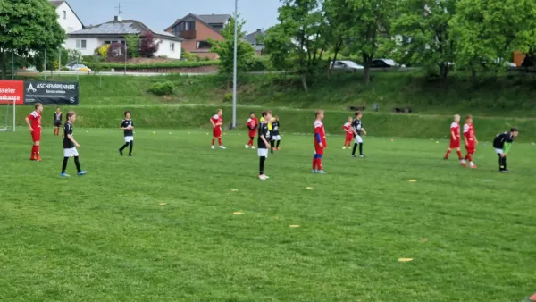03.05.2025 TSV Hertingshausen vs. TSG Wilhelmshöhe III
