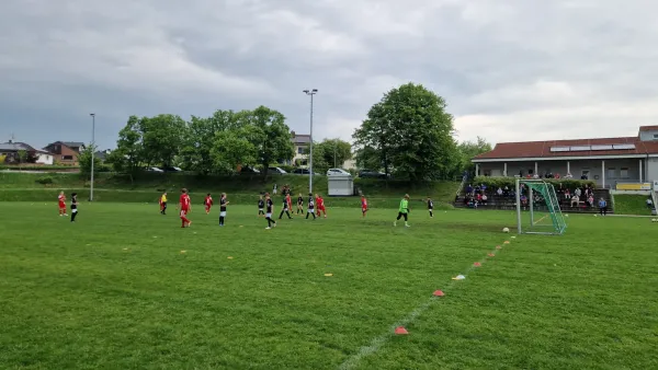 03.05.2025 TSV Hertingshausen vs. TSG Wilhelmshöhe III