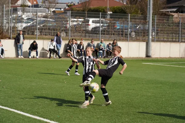 22.03.2025 TSV Hertingshausen vs. OSC Vellmar II