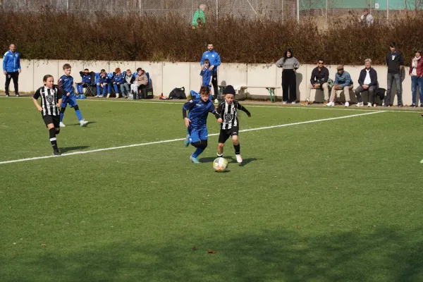 22.03.2025 TSV Hertingshausen vs. OSC Vellmar II