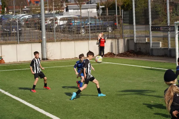22.03.2025 TSV Hertingshausen vs. OSC Vellmar II