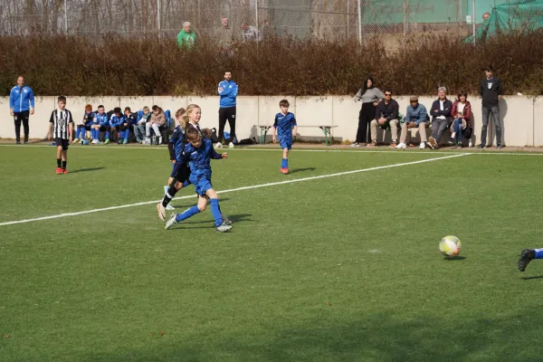 22.03.2025 TSV Hertingshausen vs. OSC Vellmar II