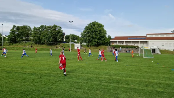 05.06.2025 TSV Hertingshausen vs. TSG Sandershausen