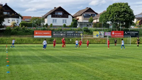 05.06.2025 TSV Hertingshausen vs. TSG Sandershausen