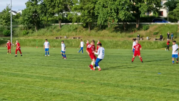 05.06.2025 TSV Hertingshausen vs. TSG Sandershausen