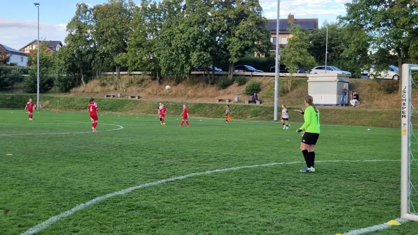 03.09.2025 TSV Hertingshausen vs. TSV Obermelsungen