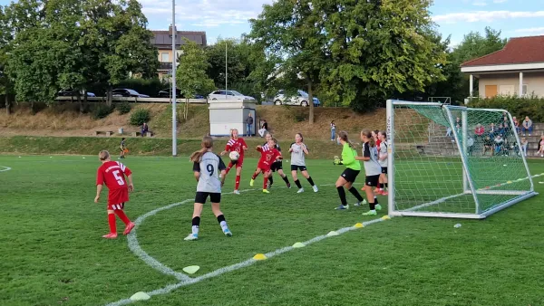 03.09.2025 TSV Hertingshausen vs. TSV Obermelsungen