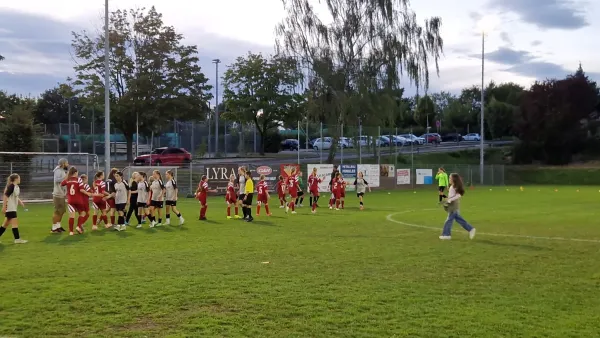 03.09.2025 TSV Hertingshausen vs. TSV Obermelsungen