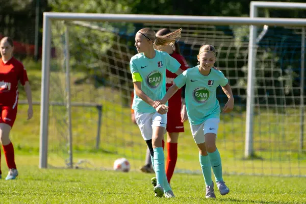 06.09.2025 FSG Stölzinger Wölfe vs. TSV Hertingshausen