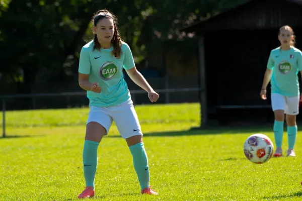 06.09.2025 FSG Stölzinger Wölfe vs. TSV Hertingshausen