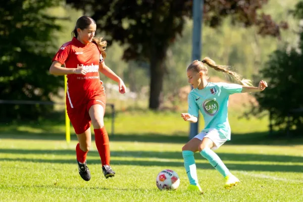 06.09.2025 FSG Stölzinger Wölfe vs. TSV Hertingshausen