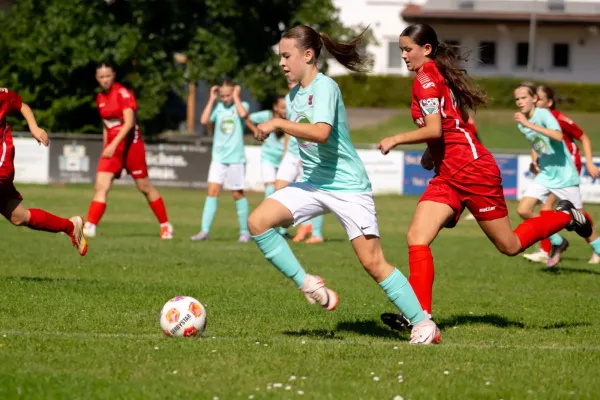 06.09.2025 FSG Stölzinger Wölfe vs. TSV Hertingshausen