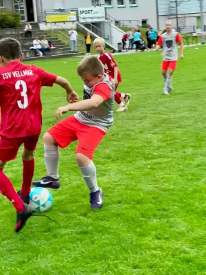 30.08.2025 TSV Hertingshausen vs. TSV Vellmar