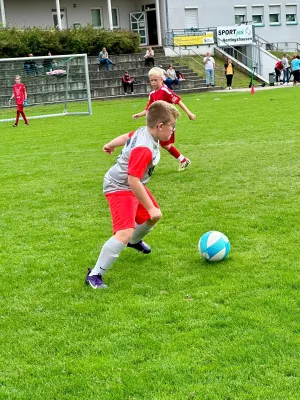 30.08.2025 TSV Hertingshausen vs. TSV Vellmar