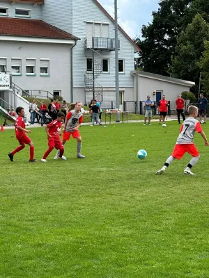 30.08.2025 TSV Hertingshausen vs. TSV Vellmar
