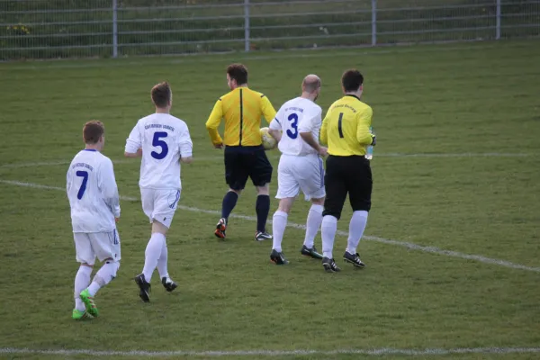 19.04.2017 TSV Hertingshausen vs. Eintr. Baunatal II