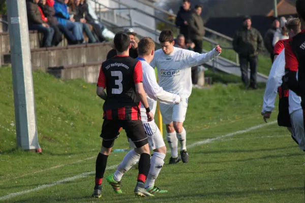 19.04.2017 TSV Hertingshausen vs. Eintr. Baunatal II