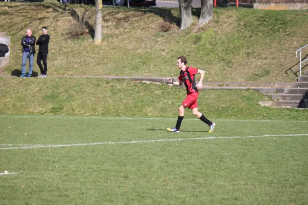 26.03.2017 TSV Hertingshausen vs. Vikt. Bettenhsn.