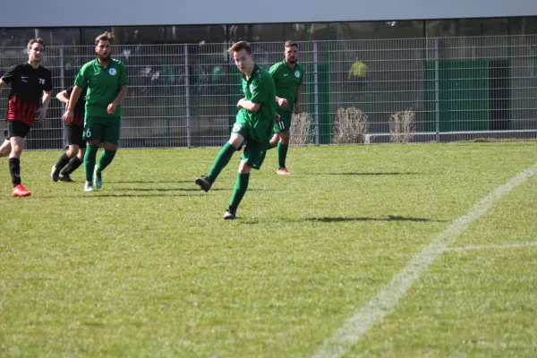 26.03.2017 TSV Hertingshausen II vs. Vikt. Bettenhsn. II