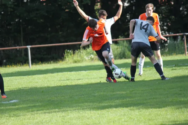 03.09.2017 SVH Kassel vs. TSV Hertingshausen