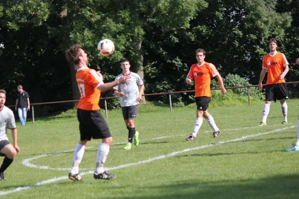 03.09.2017 SVH Kassel vs. TSV Hertingshausen