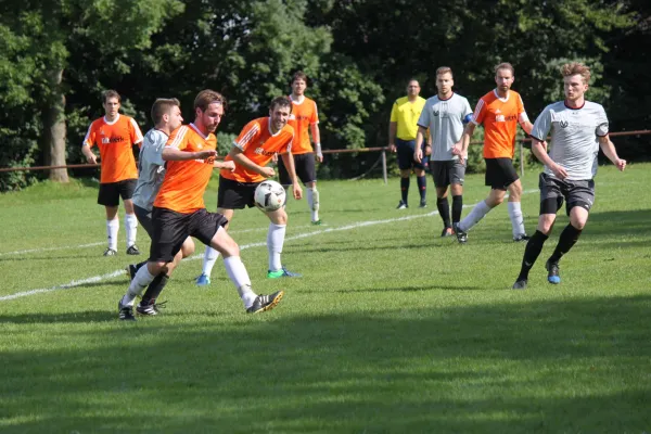 03.09.2017 SVH Kassel vs. TSV Hertingshausen