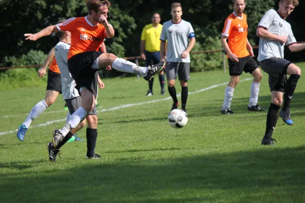 03.09.2017 SVH Kassel vs. TSV Hertingshausen