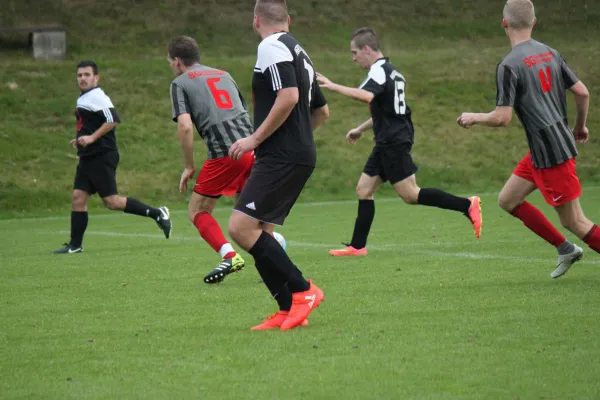 17.09.2017 TSG Wilhelmshöhe vs. TSV Hertingshausen