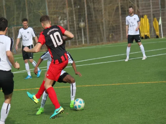 25.03.2018 TSV Hertingshausen vs. TSG Wilhelmshöhe