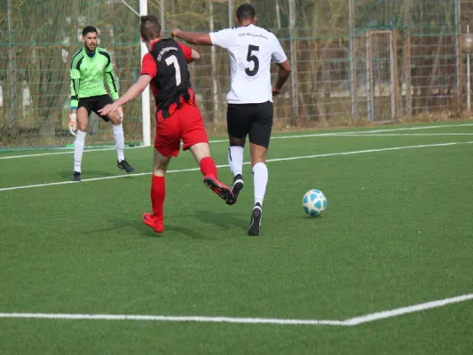 25.03.2018 TSV Hertingshausen vs. TSG Wilhelmshöhe