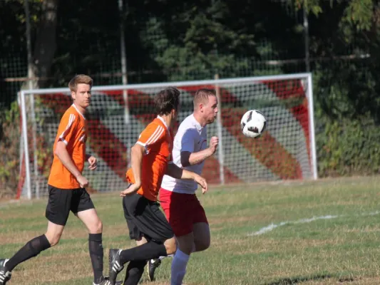 05.08.2018 SVH Kassel vs. TSV Hertingshausen