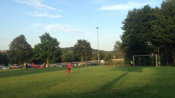 26.07.2019 SG Landw./Bent. vs. TSV Hertingshausen