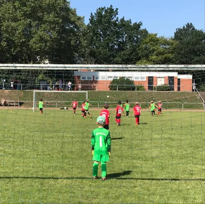 24.08.2019 VFL Kassel III vs. TSV Hertingshausen
