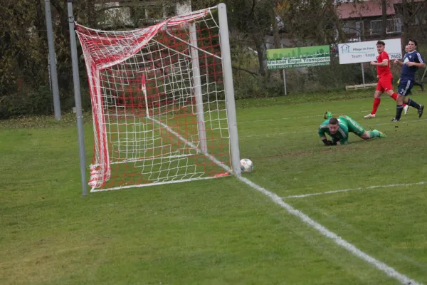 14.11.2021 SG Brunslar/Wolfersh vs. TSV Hertingshausen